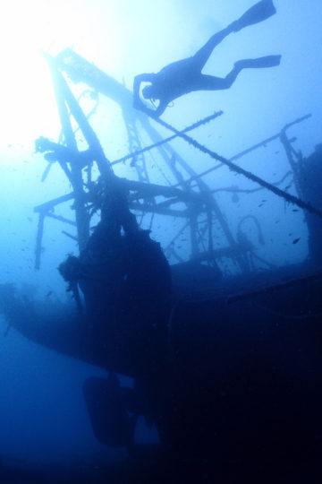 scuba diving in Split area - Venus